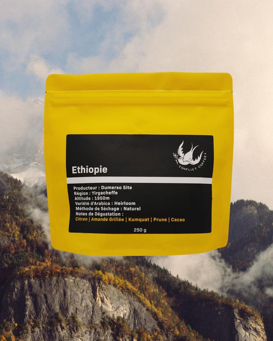 Éthiopie - Dumerso - Espresso et Filtre